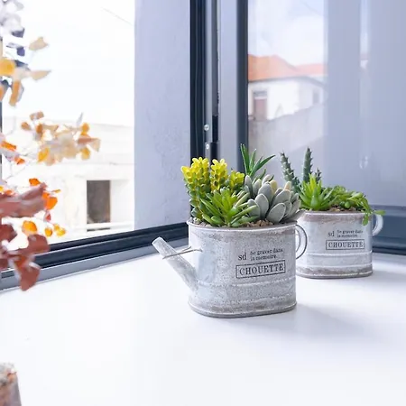 Sun House A * Кальета